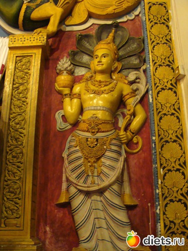 87 фото: Шри-Ланка - "благословенная земля"