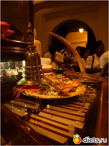 88 ����: ���-����� - "�������������� �����"