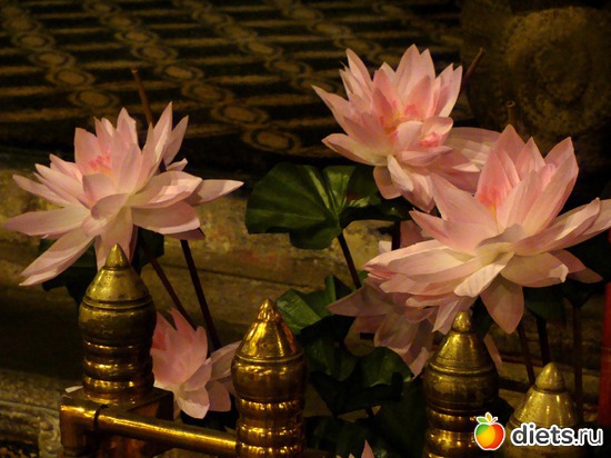 92 ����: ���-����� - "�������������� �����"