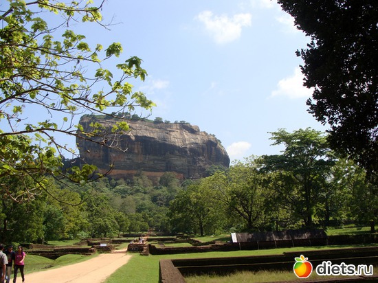 �������, ������� ����, �� ������� 1500 ��� ����� ��������� ����������� ������, ������: ���-����� - "�������������� �����"