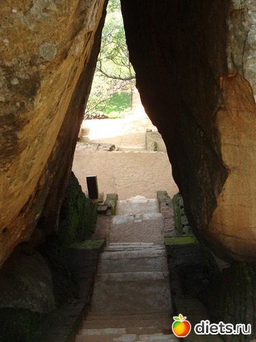 ������������ ������, ������: ���-����� - "�������������� �����"