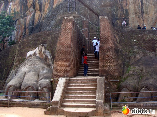 � ������������ ������ ����� 1200 ��������, ��� ���� ���� � �����, ������: ���-����� - "�������������� �����"