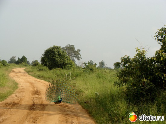 �� ������� ����������� ������� � ����� :), ������: ���-����� - "�������������� �����"