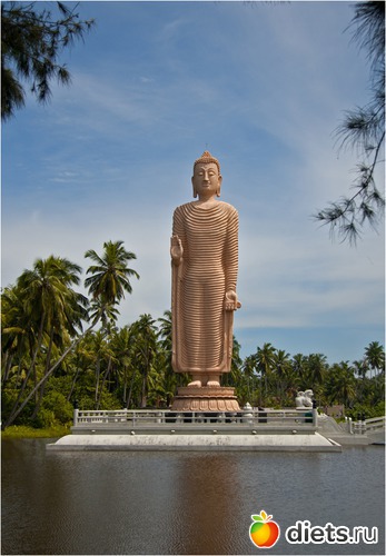 ������ ����� ���������� � ������ ������� ������ 2004 ����, ������: ���-����� - "�������������� �����"