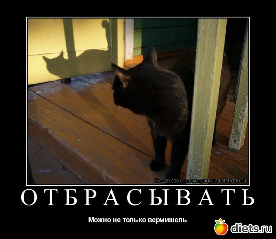 86 ����: �����������