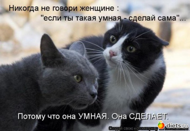 87 ����: �����������