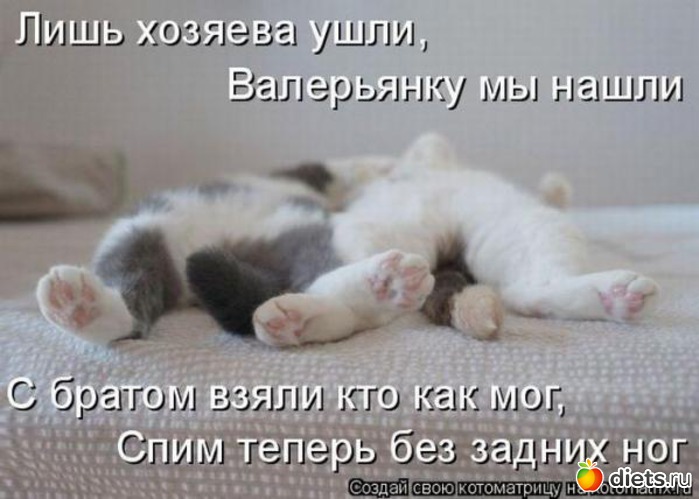 88 ����: �����������