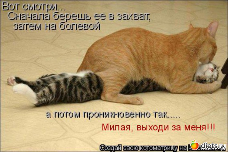 89 ����: �����������