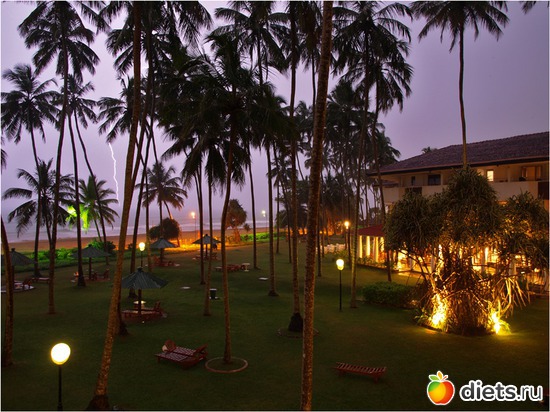 ���� ���������������� ������ �� ����� �����, ������: ���-����� - "�������������� �����"