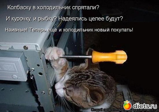 91 ����: �����������