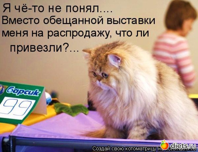 93 ����: �����������