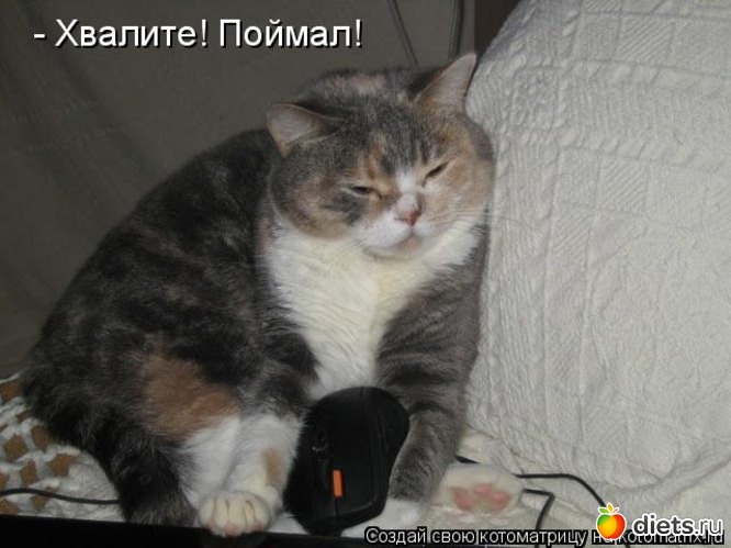 94 ����: �����������