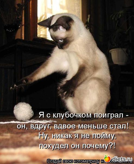 95 ����: �����������