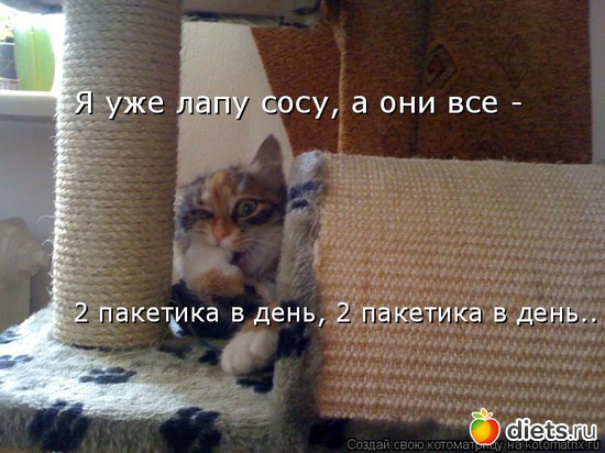 97 ����: �����������