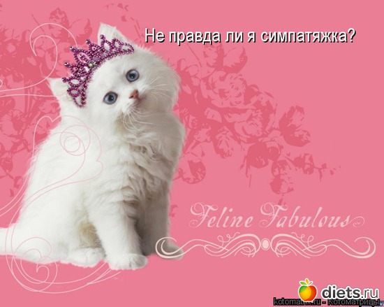 99 ����: �����������