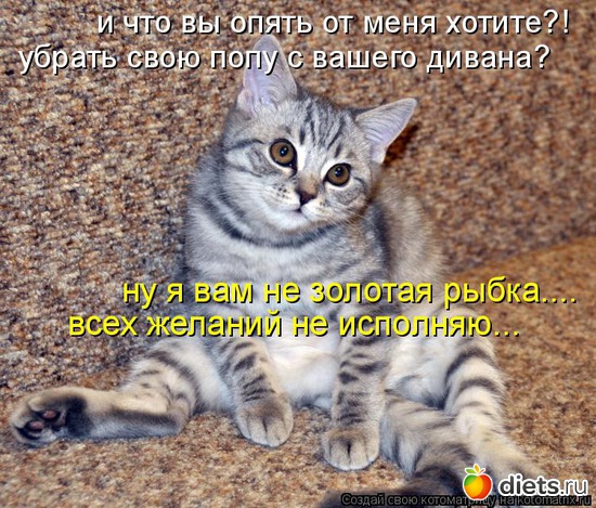 72 ����: �����������