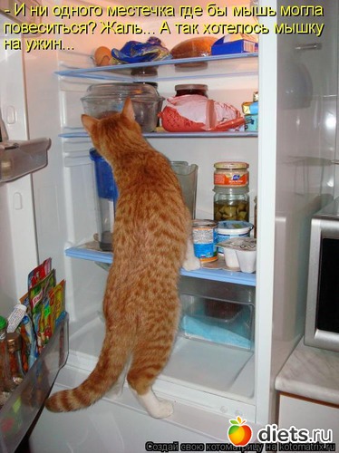 75 ����: �����������