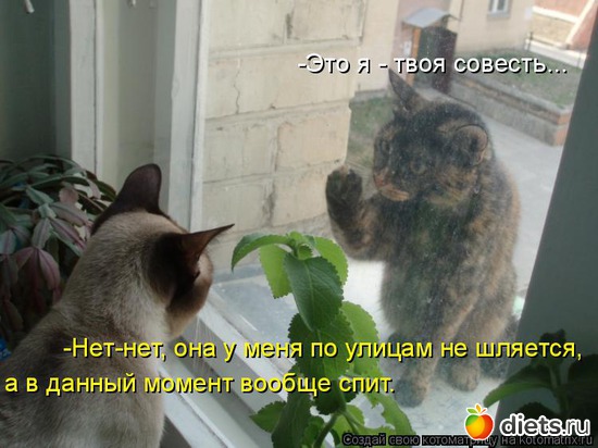 79 ����: �����������