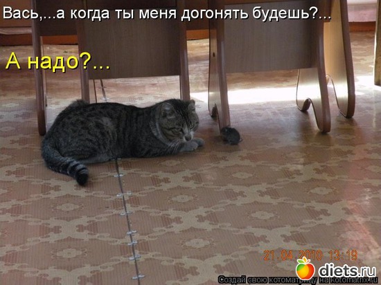 80 ����: �����������