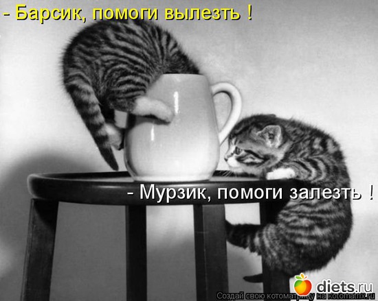 82 ����: �����������