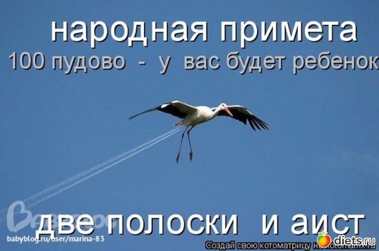 83 ����: �����������