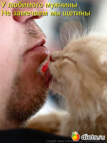 109 ����: �����������