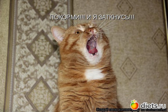 111 ����: �����������