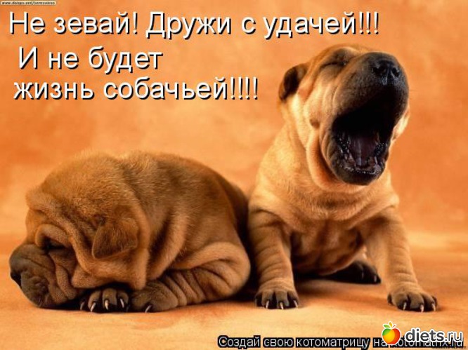 112 ����: �����������