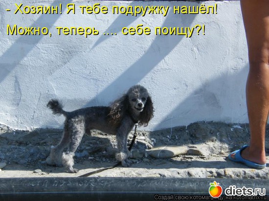 113 ����: �����������