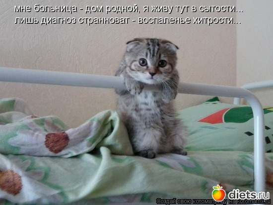 114 ����: �����������