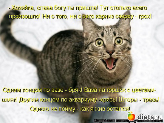 115 ����: �����������