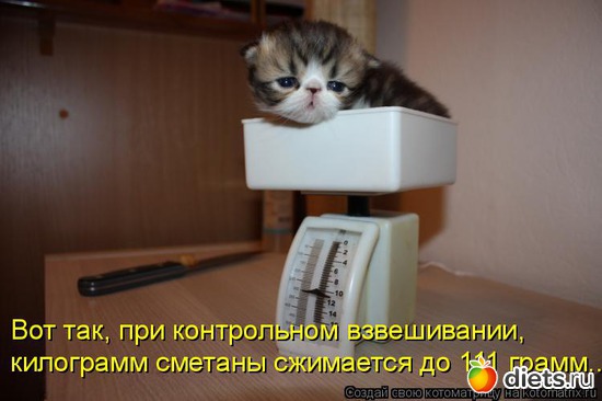 106 ����: �����������