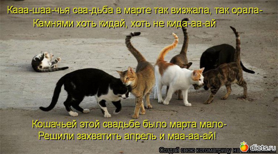 101 ����: �����������