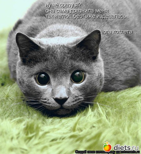 102 ����: �����������