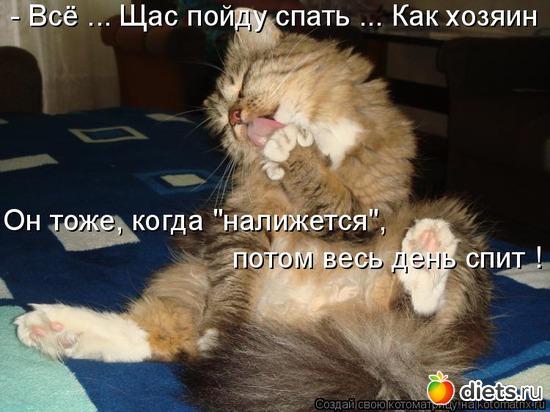 103 ����: �����������