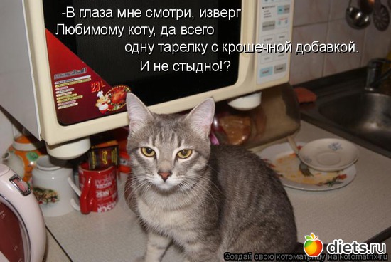 105 ����: �����������