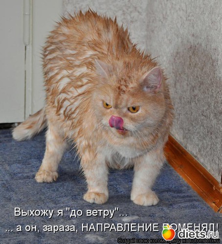 117 ����: �����������