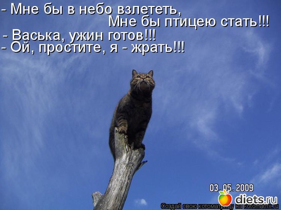 118 ����: �����������