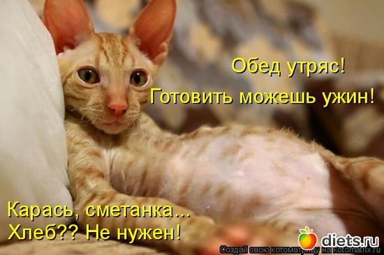 119 ����: �����������