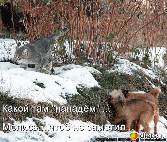 120 ����: �����������