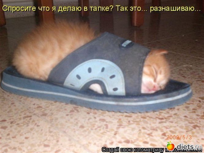 121 ����: �����������