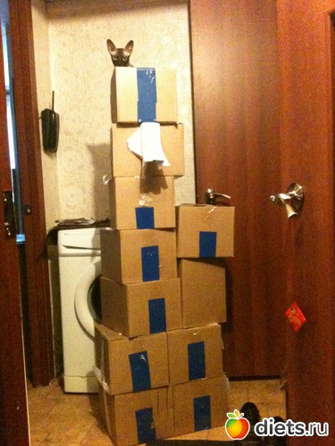 1 фото: Мое животное