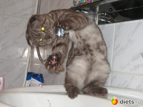 122 ����: �����������