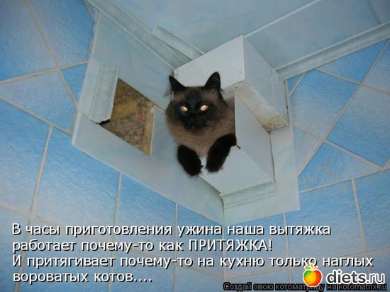 123 ����: �����������