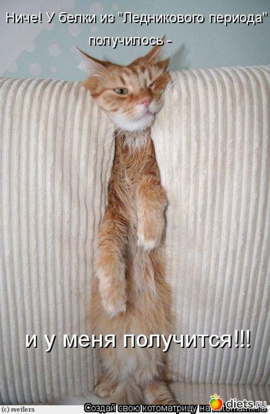 126 ����: �����������