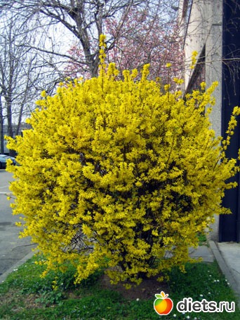 ��� ��� ��� ��������