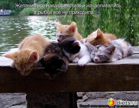 6 ����: ��� ��� ��� ��������