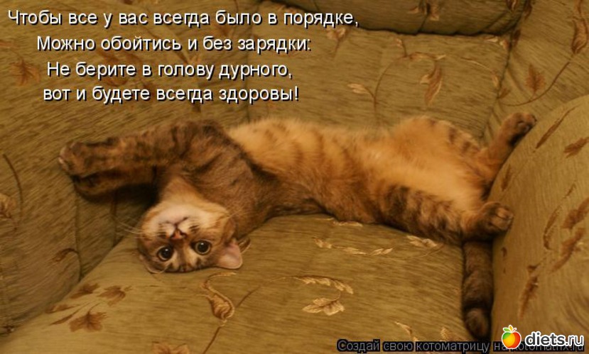 6 фото: стимул