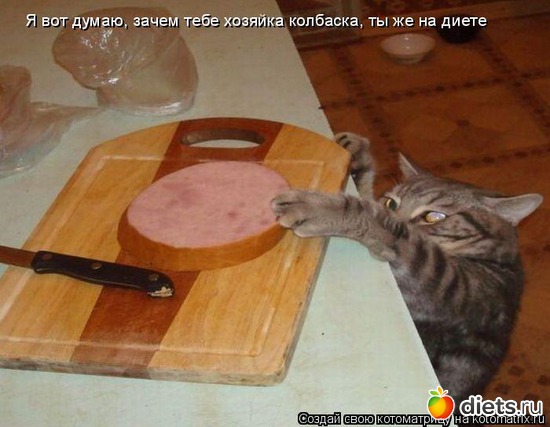 11 фото: стимул