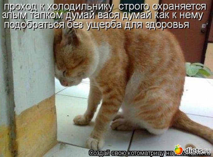 13 фото: стимул